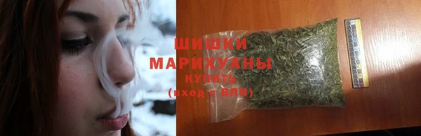 крисы Ельня