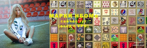 хмурый Елизово