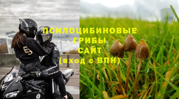 хмурый Елизово