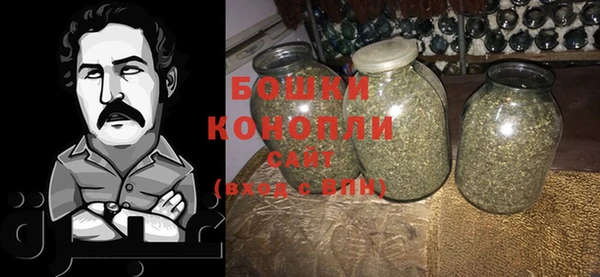 крисы Ельня