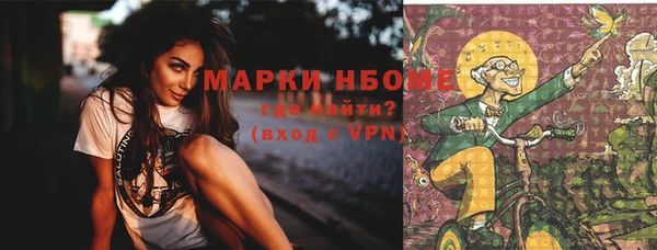 хмурый Елизово