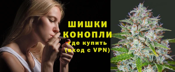 хмурый Елизово