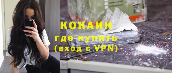 крисы Ельня